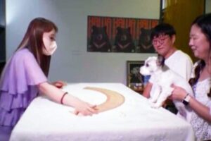 Dog-Fortune-South-korea-Feature-image-2026-07-da099045771e99b9e05cc67360b9500d-1200x800-1
