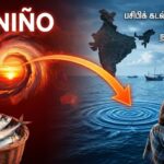 EL-nino-matthi-meen-2026-07-2e4fe50eadbd246f58583fdd62ebd75e-1200x800-1
