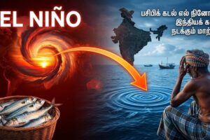 EL-nino-matthi-meen-2026-07-2e4fe50eadbd246f58583fdd62ebd75e-1200x800-1