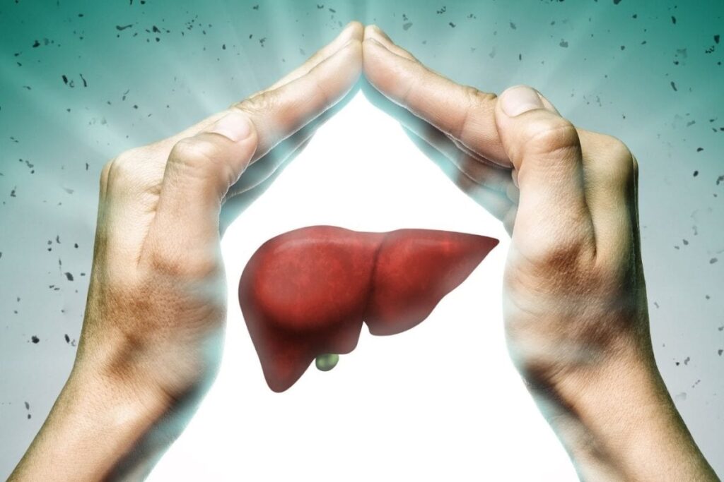 Fatty-Liver-5-2026-07-eeaf226ce939746551ed0d330da31547-1200x800-1