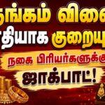 GOLD-34-2026-07-67333738bd244bf7ce4ecd25df7681c6-1200x800-1