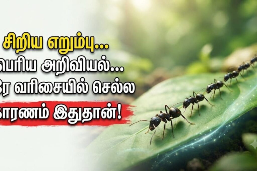 ant-2026-07-99072daa34fa11103a7122a85943ac93-1200x800-1