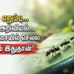 ant-2026-07-99072daa34fa11103a7122a85943ac93-1200x800-1