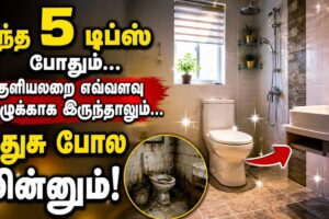 bathroom-2026-07-f1b05d13fc4c5c41de6ce23d5a329e6c-1200x800-1