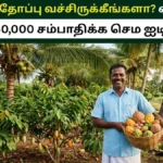 cocoabanner-64061783766833