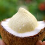 coconut-flower-2-2026-07-8fea8966fa6a862c951fc0ca929dd271-1200x800-1