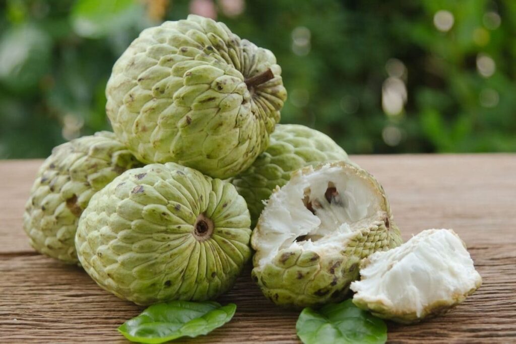 custard-apple-2-2026-07-8c71b7712ecb86c6790216b9cbfa4246-1200x800-1