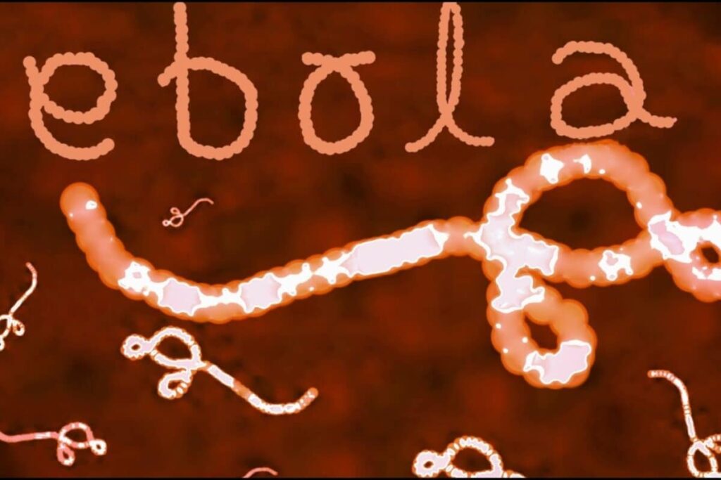 ebola-1-2026-06-c3f4f82752a1b976fca0897e5ba40471-1200x800-1