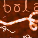 ebola-1-2026-06-c3f4f82752a1b976fca0897e5ba40471-1200x800-1