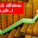 gold-2026-07-02t133135-200-1782979300