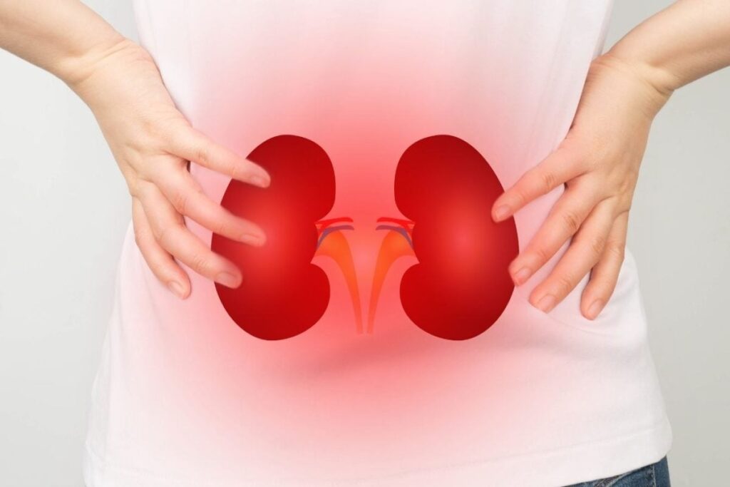 kidney-failure-2026-07-091cc2640d58a565d76c44f484e42c18-1200x800-1