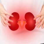 kidney-failure-2026-07-091cc2640d58a565d76c44f484e42c18-1200x800-1