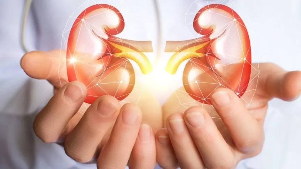 kidneyhome-22471784284280