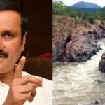 mekathadhuanani-32341783227218