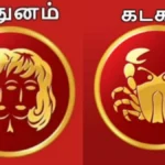 minthunamkadakam-47111785229262