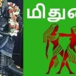 mithunamrasid-19461783080397