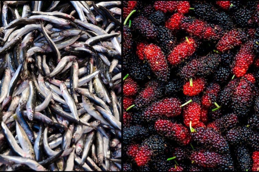 mulberry-1-2026-07-75e18f08f3dfdac0125266df3ab68229-1200x800-1