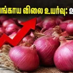 onion-price-hike-2026-how-to-manage-monthly-budget_1200x675_1783244614821_