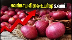 onion-price-hike-2026-how-to-manage-monthly-budget_1200x675_1783244614821_