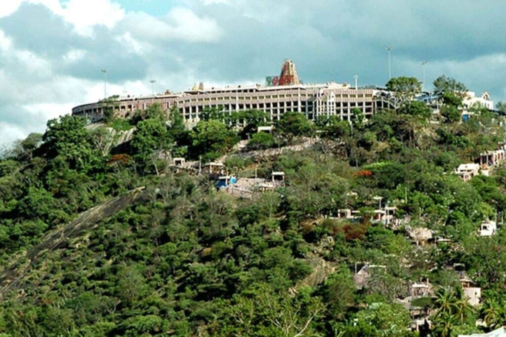 palani-temple-2026-07-497492c74a8fcb35406e05794d3bbd59-1200x800-1