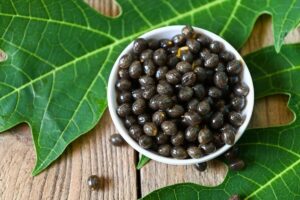 papaya-seeds-3-2026-07-fba80b45cb041baf3a505f226eb9f12e-1200x800-1