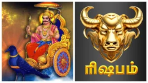 rishabamfn-78741783076684