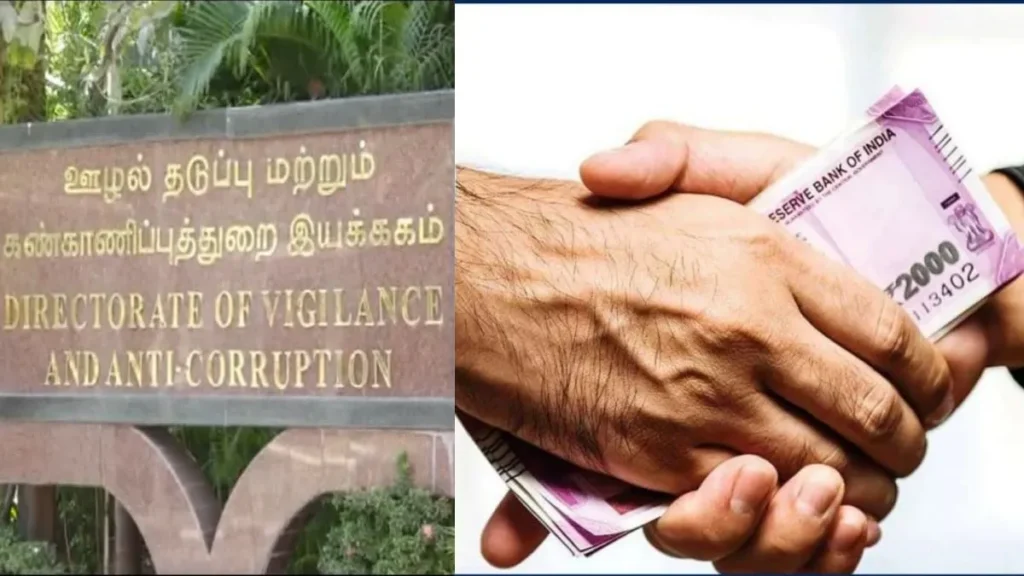 vigilation-65821783097564