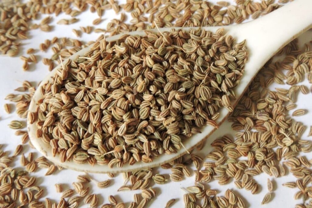 Ajwain-6-2026-08-60f627983aa07ea6cf54a2b9afda561e-1200x800-1