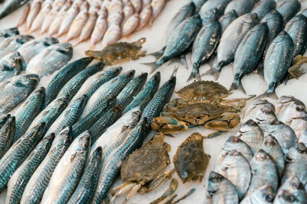 Fish-1-2026-08-3ba945478696060eadeb514ff001ecb4-1200x800-1
