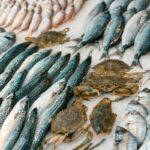 Fish-1-2026-08-3ba945478696060eadeb514ff001ecb4-1200x800-1