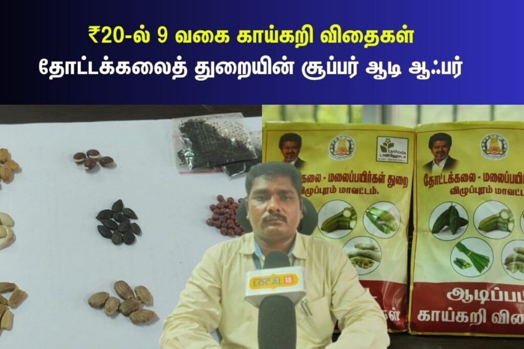 HYP_5873058_aadispecialschemevegetableseedkits_3-1200x800-1