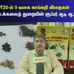 HYP_5873058_aadispecialschemevegetableseedkits_3-1200x800-1