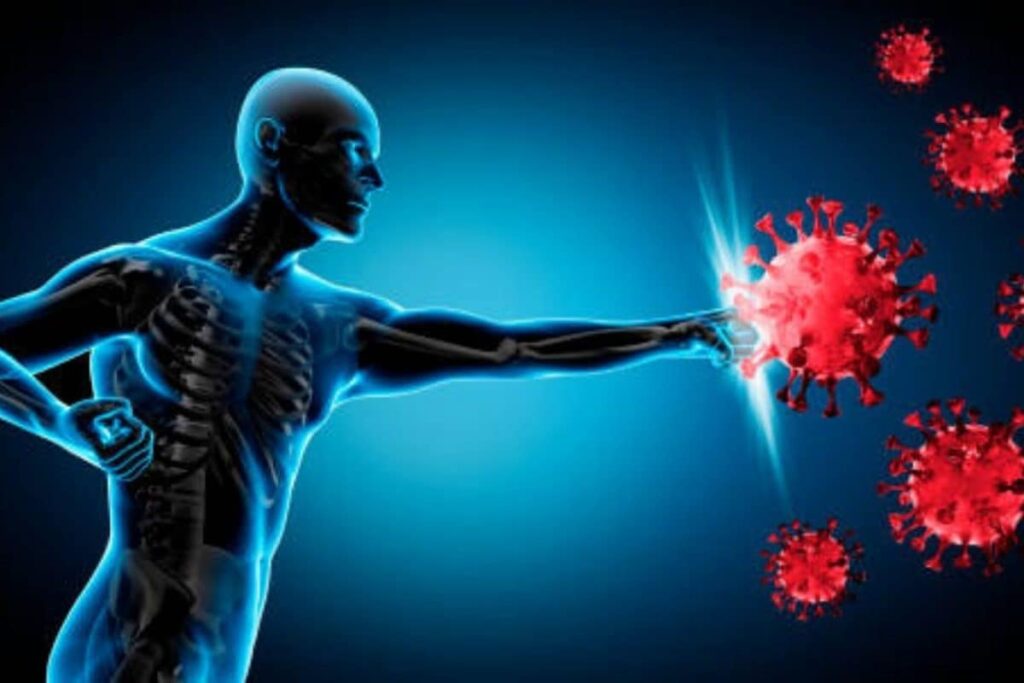 Immunity-foods-1-2026-08-667cd59e3db7f0b5c6c7bef9412e716b-1200x800-1