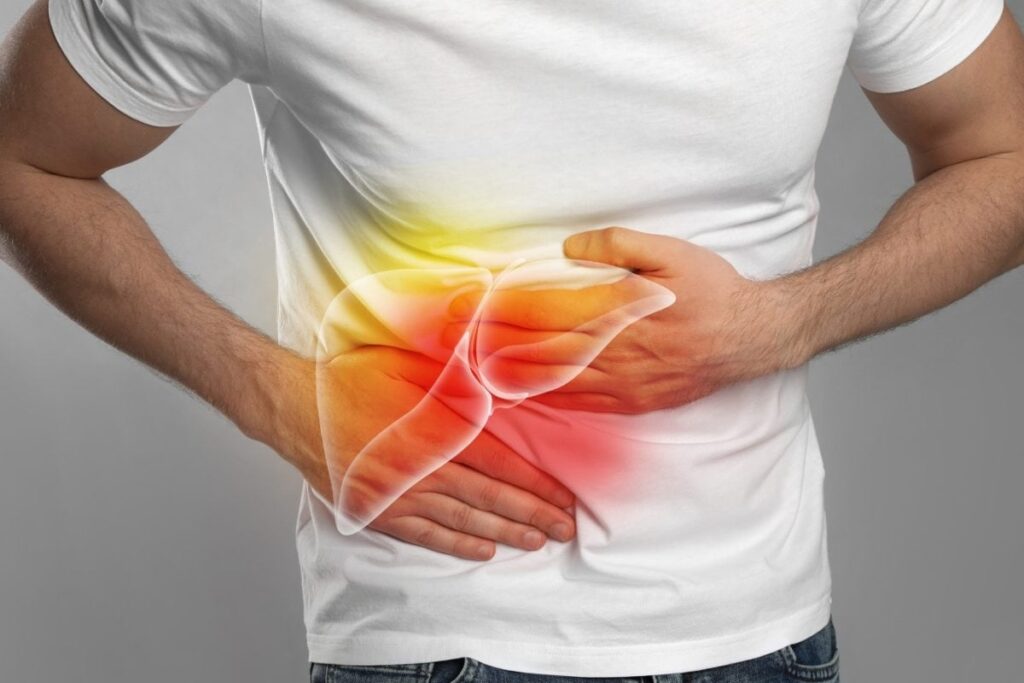 Liver-Health-2026-08-40e24355ea55dc2a9796fd48a8eca730-1200x800-1