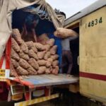 Onion-Price-2026-08-4afb418ee3cd30e23f2765f551593d28-1200x800-1