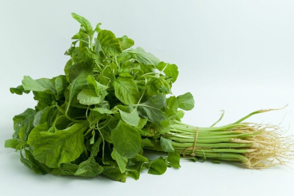 Spinach-4-2026-08-be8b36b5b84d2b78f08fbd5ec28814c3-1200x800-1