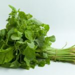Spinach-4-2026-08-be8b36b5b84d2b78f08fbd5ec28814c3-1200x800-1
