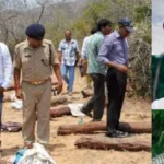 andhrapradeshkarnataka-35991786886067