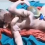 baby-2026-08-38f95e90b1237461de3fa6544e5a893d-1200x800-1