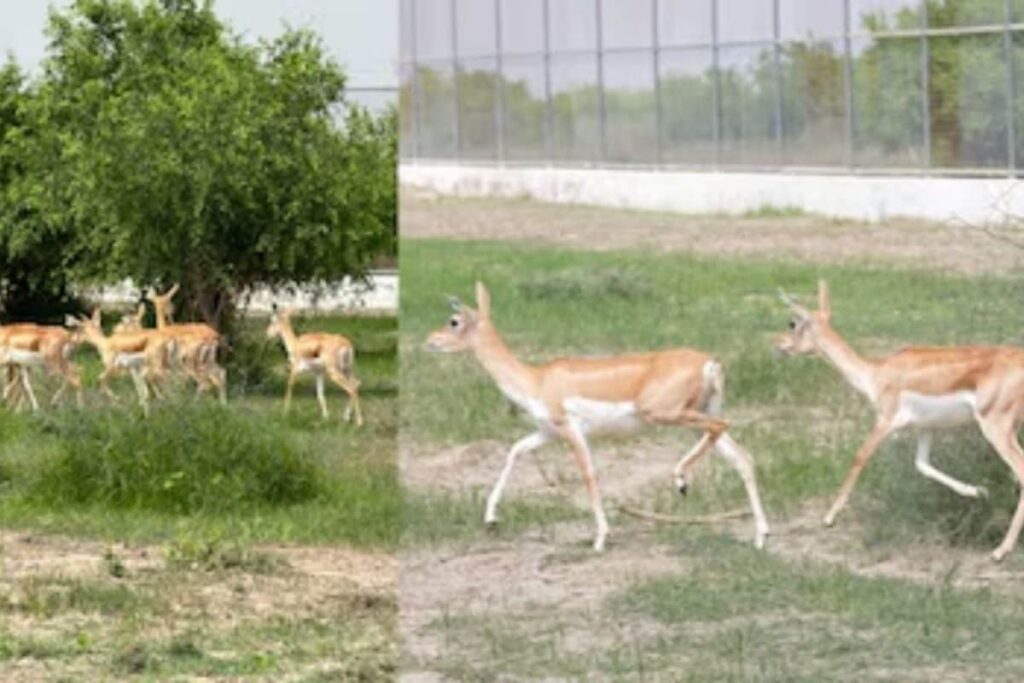bucks-2026-08-e2844ddd6670321bc9984e5fc55238e5-1200x800-1