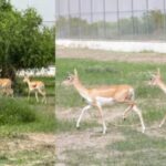 bucks-2026-08-e2844ddd6670321bc9984e5fc55238e5-1200x800-1