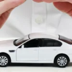 carloanemibanner-34911786521063