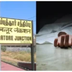 collage-83831786509240