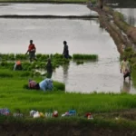 croploanwaiver-43721786871313