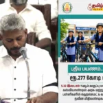 education3-12241785907905
