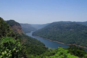 india-biodiversity-2026-08-04660265dd84c63502f5c475ef92635c-1200x800-1