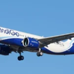 indigo6-20371785914729