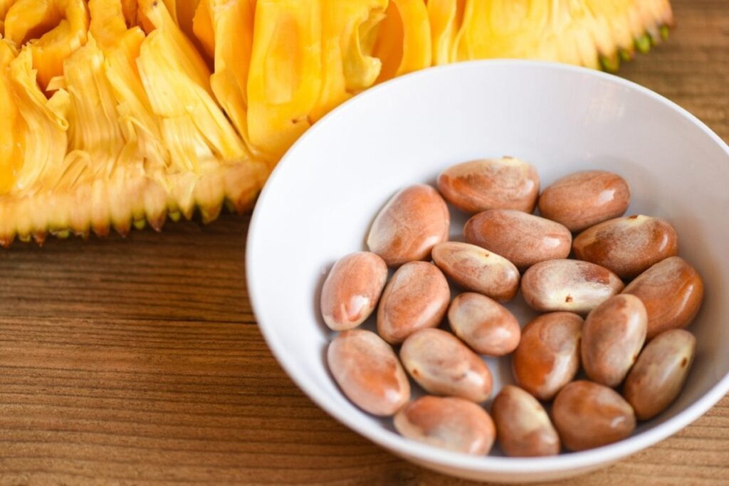 jackfruit-seeds-2-2026-08-10bcacbac7fd7c7de485b74cd8561678-1200x800-1