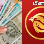 meenam-36121788056993