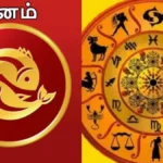meenamrasi-90461788173791